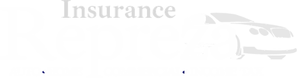 Repreza Insurance & Multiservice